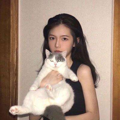 符石佣兵团手机版下载